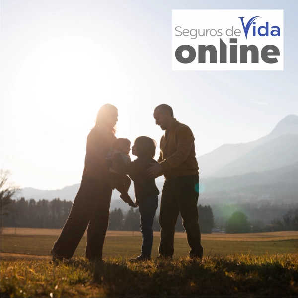 Seguros de Vida Online Seguros de Vida Online