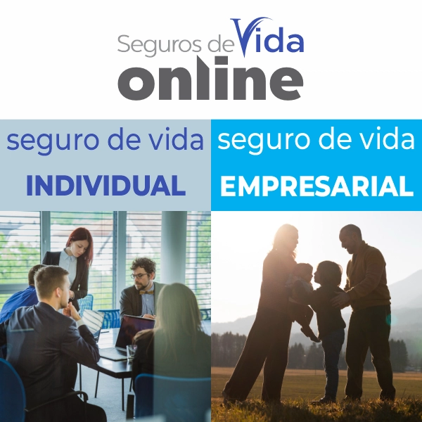 Seguros de Vida Individual e Empresarial